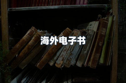 海外电子书
